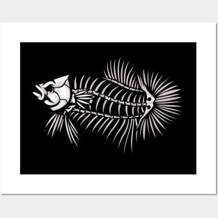 Betta Fish Skeleton Aquarium Fish Lover Posters and Art